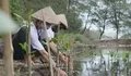 Teleperformance Indonesia Tanam 2.000 Bibit Mangrove di Pantai Trisik Kulon Progo