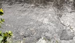 Viral! Diduga Limbah Tetelan Berceceran Di kampung Hanjawar Cianjur