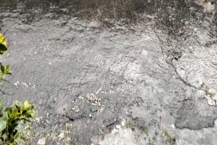 Viral! Diduga Limbah Tetelan Berceceran Di kampung Hanjawar Cianjur (Sumber : logikanews.co)