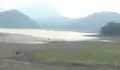 Kekeringan melanda tanah air, waduk Jatiluhur turut mengering sampai terlihat bagian dasar waduk