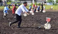 Jokowi Sebut Luasnya Lahan Pertanian di Sorong Belum Termanfaatkan Secara Maksimal
