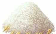 Beras Surabaya Tembus Rp 14.500 per Kg, Ini Penyebab dan Solusinya