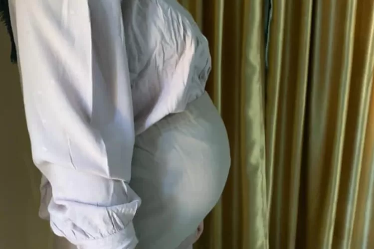 Seorang ART di Bengkulu hamil diduga diperkosa anak majikan. (Instagram @hotmanparisofficial)