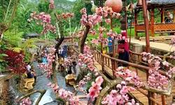 Di Tempat Wisata Malang dan Harga Tiket Masuknya. Banyak yang Mengira Mahal Padahal Tidak Semuanya Begitu