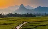 Bukan di Filipina atau Vietnam, Pemandangan Persawahan yang Menakjubkan Ini Ada di Bogor