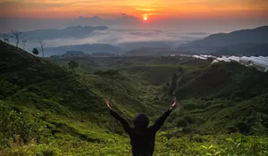4 Tempat Wisata Kebun Teh Gratis yang tidak Kalah Keren dengan Puncak, Cocok Banget buat Liburan Sobat Depok