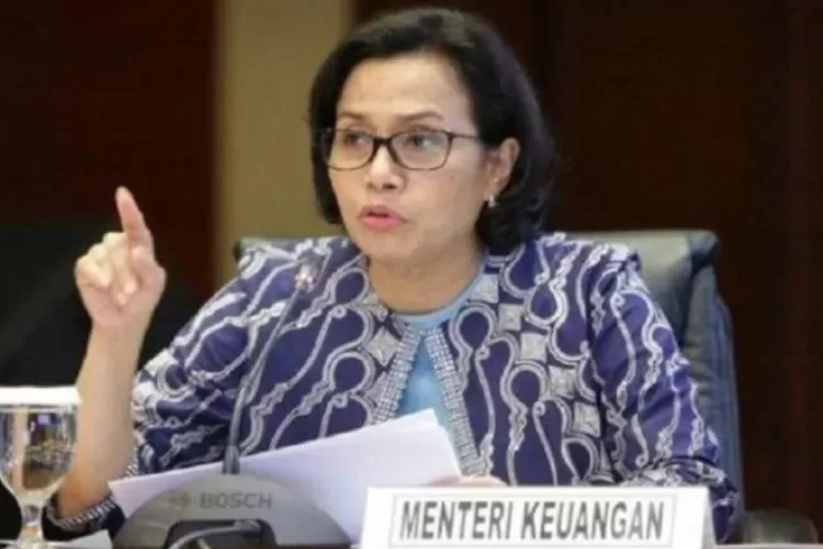 Menteri Keuangan Sri Mulyani Indrawati (WordPress/Hallo Bogor)