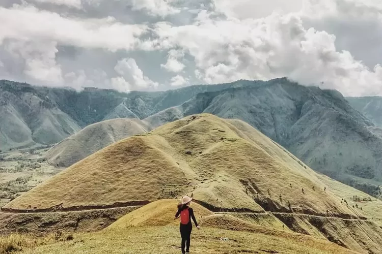 Pesona Bukit Holbung salah satu destinasi wisata di pulau Samosir Sumatera Utara (ig @pinktravelogue)