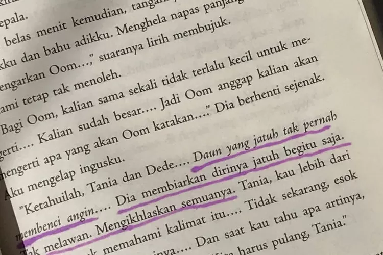 Ilustrasi bahasa dan sastra Indonesia (https://id.pinterest.com/)