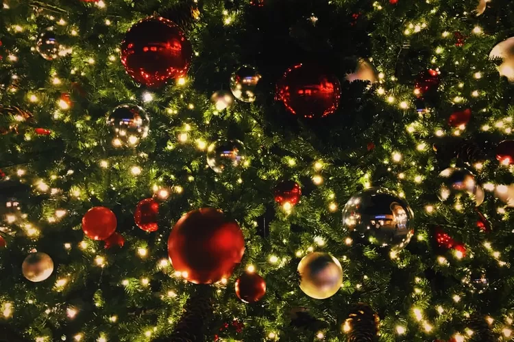 Chord Gitar dan Lirik Lagu Rohani Berjudul Dia Lahir Untuk Kami (Unsplash/@rithika_gopal)