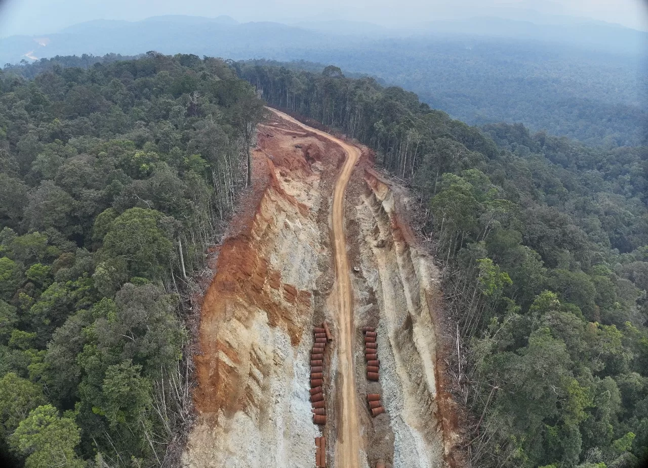 PT Position diduga kuat telah melakukan pembukaan lahan jalan angkutan dan pengambilan material mineral nikel di dalam kawasan hutan produksi.