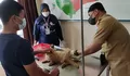 Hingga Bulan Agustus 2021, Ada Puluhan Kasus Gigitan Anjing di Kabupaten Garut