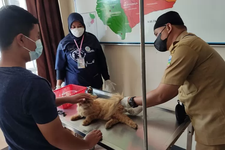Diskanak Garut melakukan sosialisasi dan vaksinasi rabies dalam rangka peringatan Hari Rabies Sedunia di Alun-Alun/Gorajuara.com/Agus Alvin 