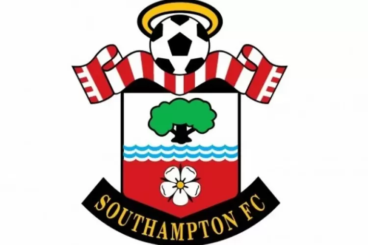 Southampton akhirnya terdegradasi (Southampton.com)