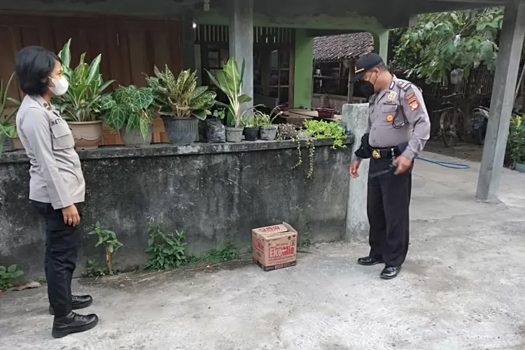 Polisi mengecek kardus berisi bayi yang ditemukan di halaman rumah warga Sleman. (Foto: Humas Polsek Berbah)