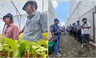 Kembangkan Budidaya Melon di Jabar, bank bjb dan Pemprov Jabar Kunjungi Farm Hill di Surakarta
