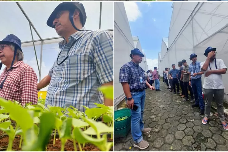 Kembangkan Budidaya Melon di Jabar, bank bjb dan Pemprov Jabar Kunjungi Farm Hill di Surakarta (Dokumentasi)