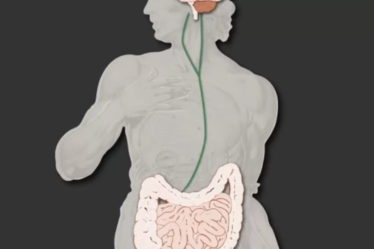 dr. Helmi Purba, SpPD memberikan penjelasan tentang stres yang dialami seseorang jika diperiksakan malah terlihat normal. (YouTube Duke University)