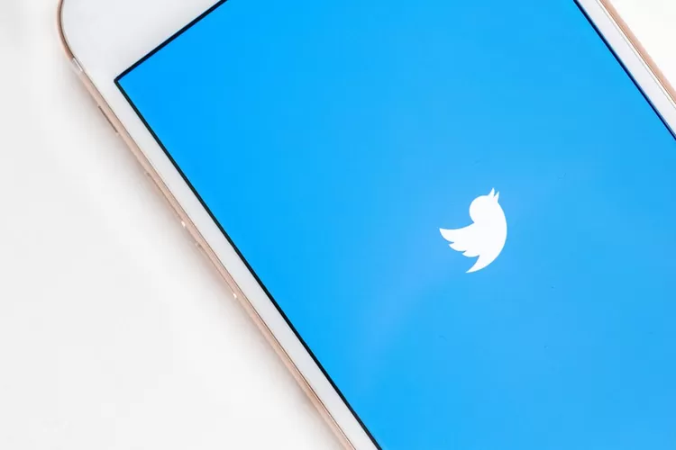 Ilustrasi Twitter (Foto/ Unsplash - @stereophototyp)