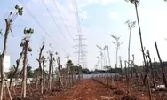 PT JIEP Berhasil Kembalikan Fungsi Hutan Kota di Kawasan Industri Pulogadung
