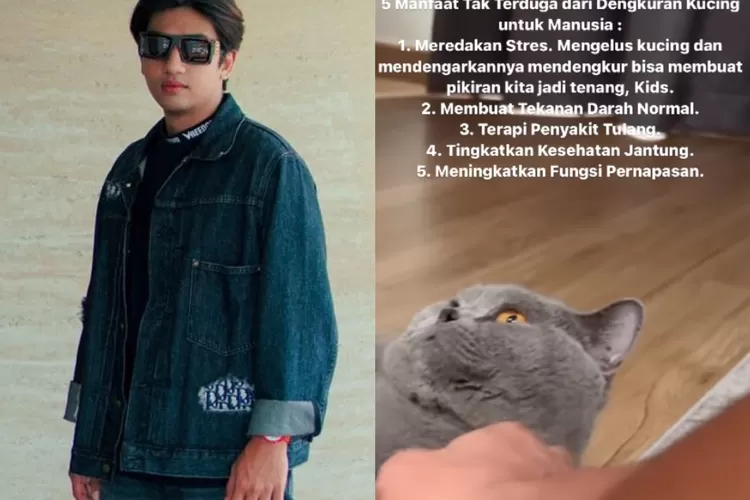 Pelihara Kucing, Harris Vriza Berikan Informasi 5 Manfaat dari Dengkuran Kucing (Gorajuara.com/dok: Instagram @harrisvriza)