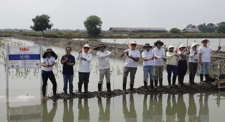 Kegaiatan Penanaman 10.180 Mangrove yang menjadi bagian dari realisasi Collective Carbon Action BATIC 2025 di Tanjung Pakis, Jawa Barat.