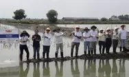 Tanam 10.180 Mangrove, Telin Wujudkan Komitmen Keberlanjutan BATIC 2025
