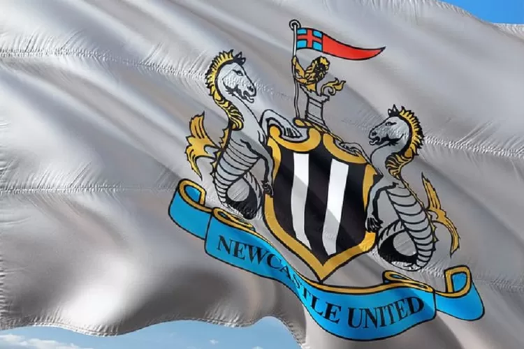 Malam ini, Newcastle United vs Wolverhampton Wanderers di Liga Inggris, simak pembahasan prediksi skor.    (Pixabay/jorono)
