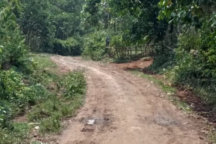 Sisi gelip Kota Bogor. Foto/Radar Bogor (Foto/Radar Bogor.)