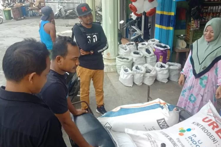 Ilustrasi - Pupuk bersubsidi di Kabupaten Nagan Raya, Aceh.  (ANTARA/Teuku Dedi Iskandar)