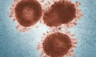 Israel Konfirmasi Kasus Baru Virus Flurona, Ini Gejala Virus Baru Gabungan Corona dan Influenza