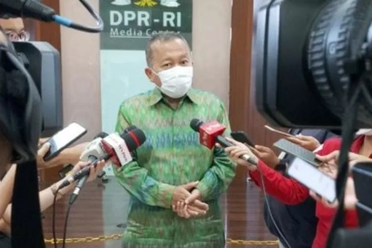 wakil ketua umum PPP Arsul Sani (Tangkap layar./PPP.or.id)