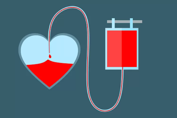Give Blood Give Life, manfaat yang bisa diperoleh pendonor dengan menyumbangkan darahnya (Pixabay/Mohamaed_hassan)