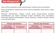 Materi 'Hewan Vertebrata dan Avertebrata', Kunci Jawaban Tema 1 Kelas 5 Halaman 54