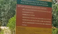 Tahura Sultan Thaha Syaifuddin Memperihatinkan, Alami Deforestasi