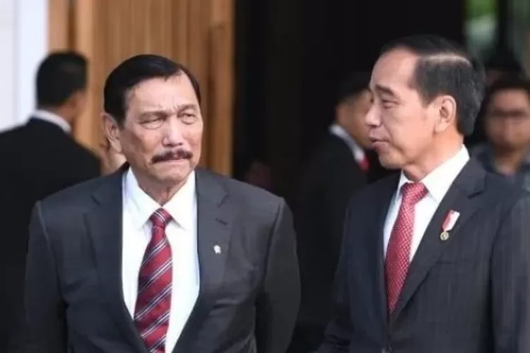 Ternyata Ini Alasan Jokowi Ganti Luhut Sebagai Menko Marves Dan Tunjuk ...