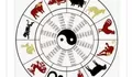 Cek ramalan shio hari ini Selasa 23 Mei 2023, peruntungan Shio Ayam, Anjing, Kelinci