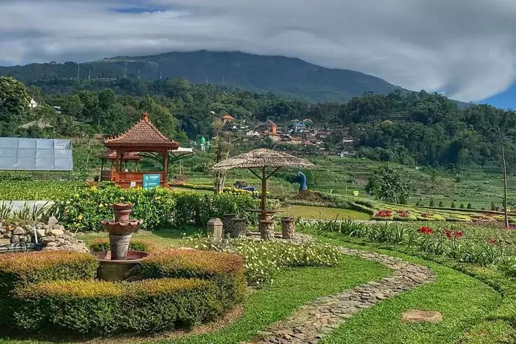 Keindahan Kebun Refugia Magetan: Hamparan bunga berwarna-warni di Kebun Refugia Magetan