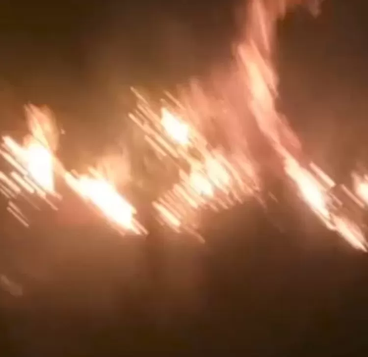 Kebakaran lahan di Ciampea