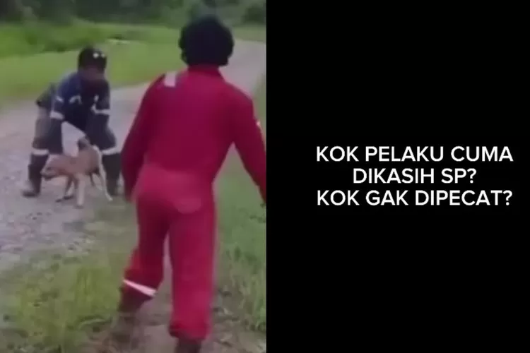 Erick Thohir murka ngatain biadab, kok pekerja lempar anjing ke buaya, cuma kena SP tak dipecat, ini alasannya (Instagram @doniherdaru)