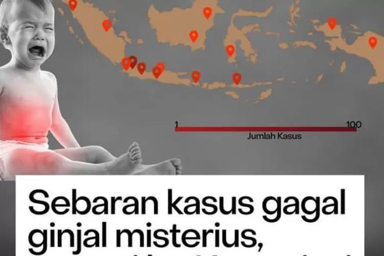 Bareskim tunggu hasil laboratorium, tim penyelidikam bersinergi dan atensi dengan gagal ginjal akut ! (intagram @pandemictalks)