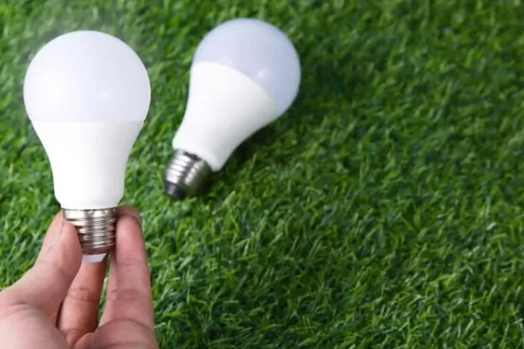 Kamu Wajib Tahu! Ini 4 Rekomendasi Lampu LED Terbaik di Indonesia (Mampu.or.id)