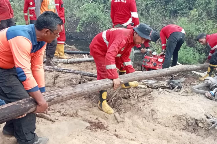 Tim gabungan sedang melakukan pemadaman kebakaran lahan di Kabupaten Pesisir Selatan, Provinsi Sumatra Barat, Selasa (30/5).