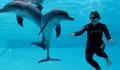 Dolphin Show, Sensasi Berenang Bareng Lumba lumba di Taman Safari Bogor