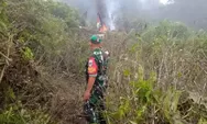 Sebuah helikopter latih TNI jatuh di perkebunan teh Ciwidey Bandung, semua kru selamat