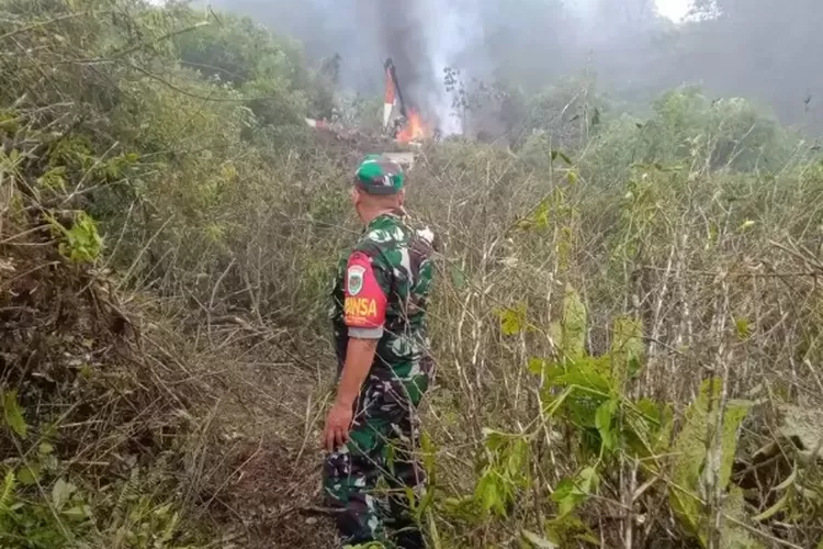 Sebuah helikopter latih TNI jatuh di perkebunan  teh Ciwidey Bandung
