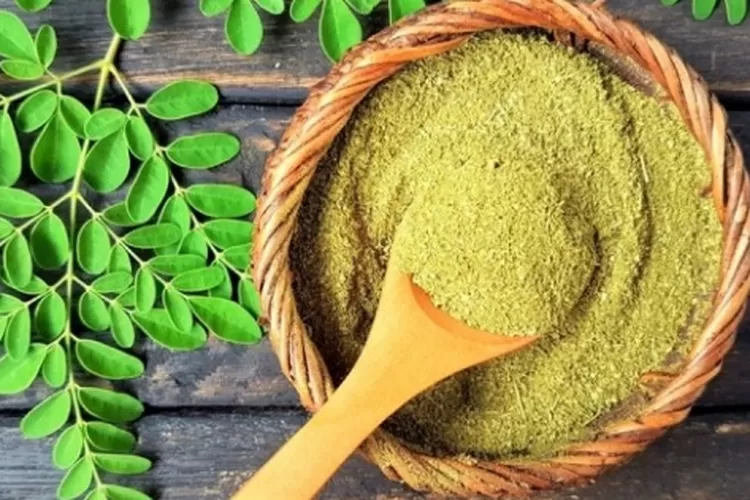 Daun kelor memiliki banyak kandungan nutrisi dan banyak manfaat kesehatan