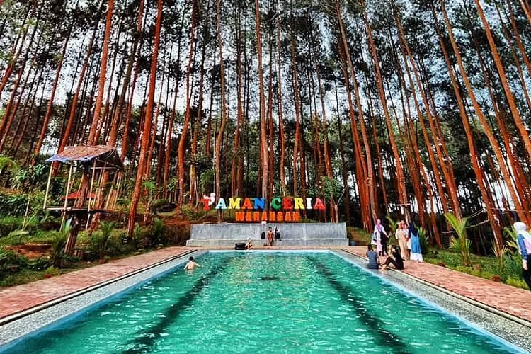 Ada Kolam Renang Di Tengah Hutan Pinus Ini Dia Wisata Taman Ceria Di Warangan Kepil Wonosobo