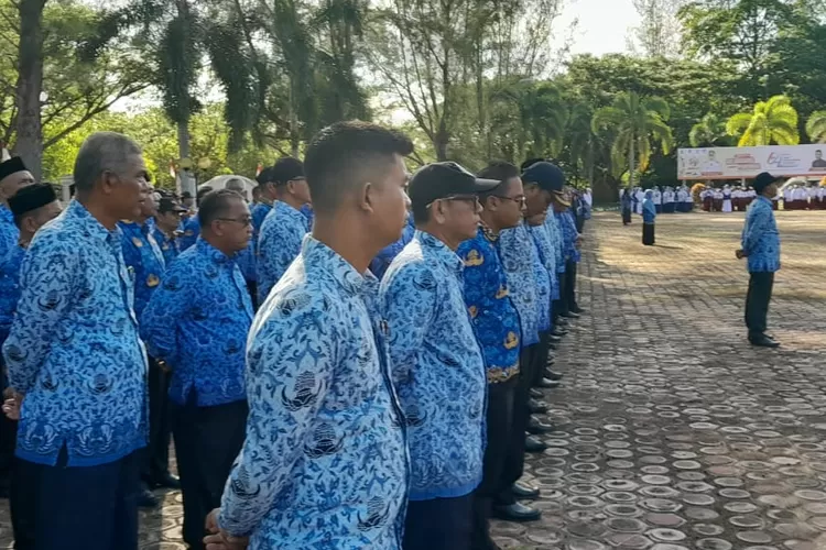 Siap Siap Seleksi Casn Pemkab Lumajang Segera Dibuka Inilah Jumlah Formasi Pppk Yang