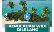 Harus setor deposit Rp 1,54 milyar, berapa harga kepulauan Widi yang akan dilego di situs lelang asing?